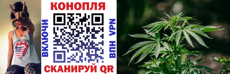 Бошки марихуана сатива Осинники